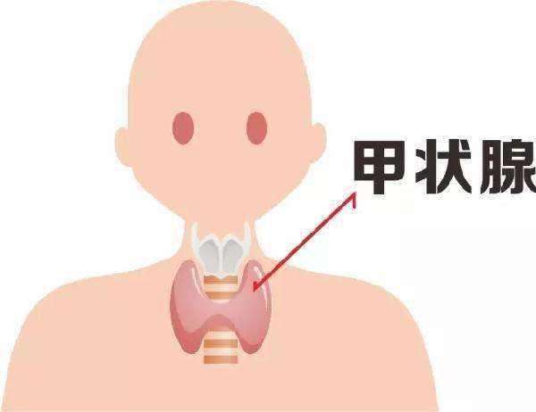 慢性甲状腺炎