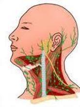 淋巴结炎