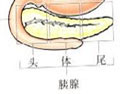 胰腺癌