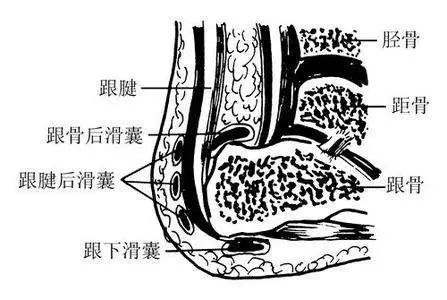 滑囊炎