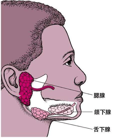 喉粘液囊肿