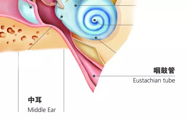 咽鼓管炎